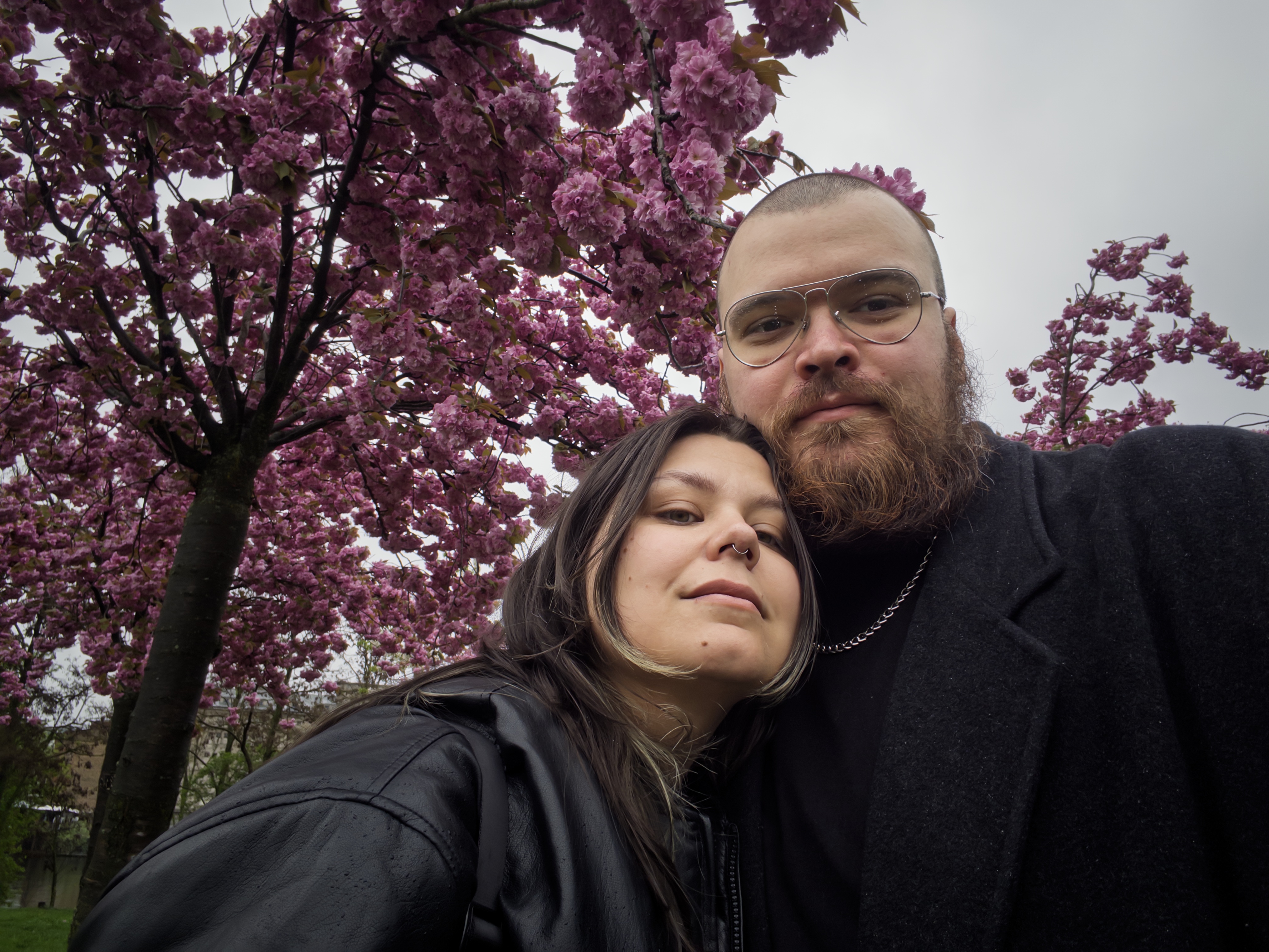 Берлінський кадр 2